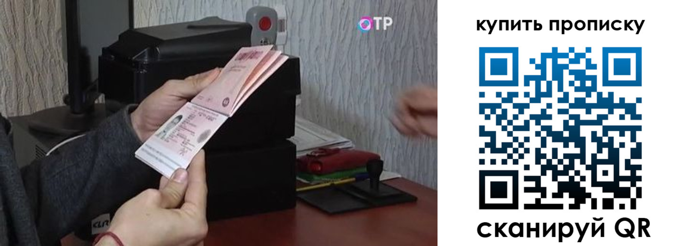 прописка гарантия в Мурино